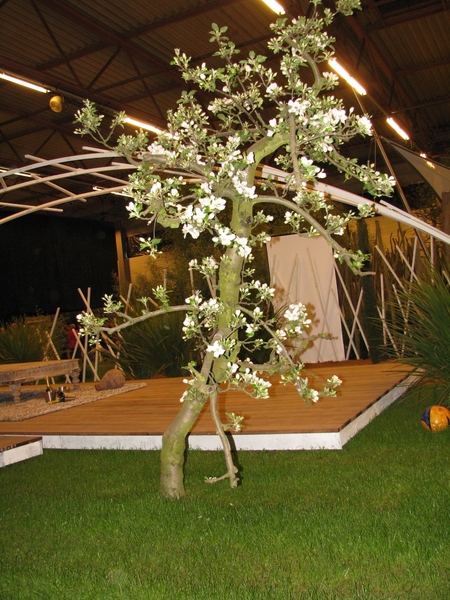 Gentse Floralin 2010 240