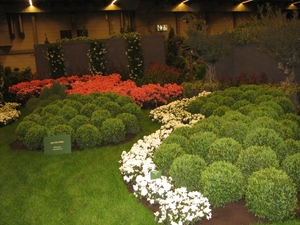 Gentse Floralin 2010 288