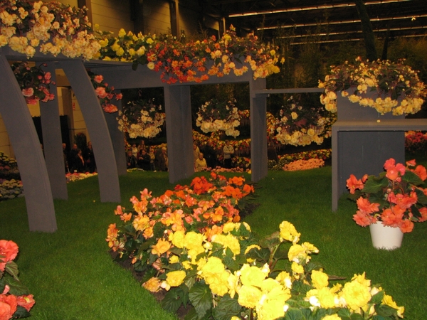 Gentse Floralin 2010 297