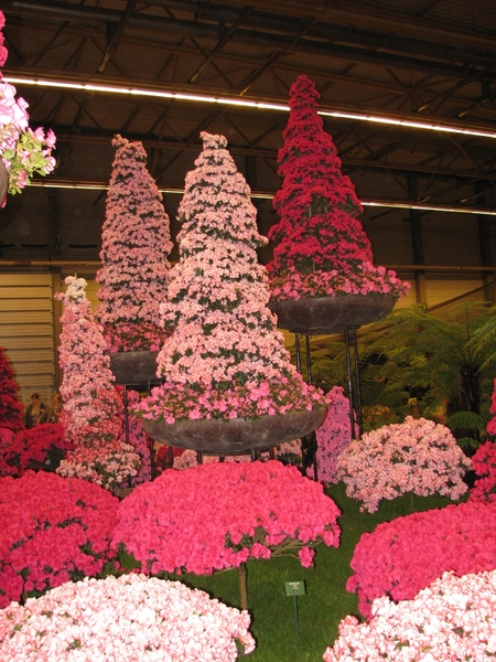 Gentse Floralin 2010 315
