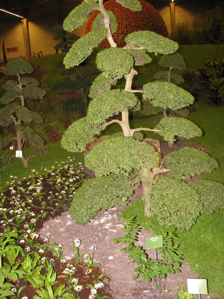 Gentse Floralin 2010 321
