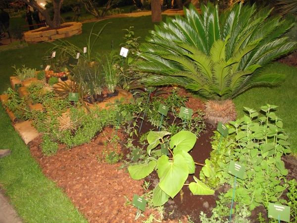 Gentse Floralin 2010 322