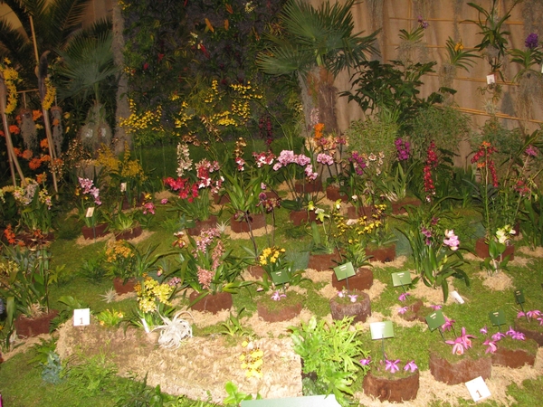 Gentse Floralin 2010 360