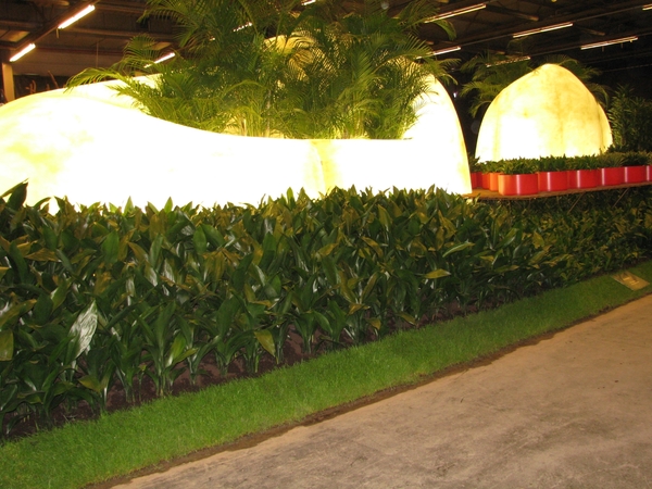 Gentse Floralin 2010 385