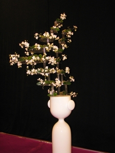 Gentse Floralin 2010 387