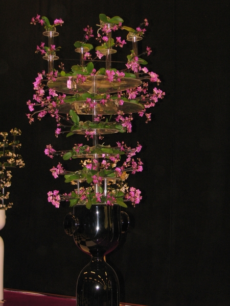 Gentse Floralin 2010 389