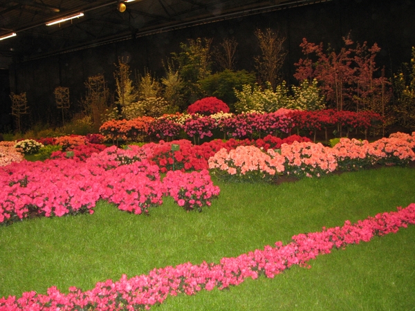 Gentse Floralin 2010 390