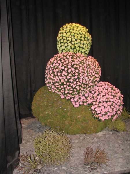 Gentse Floralin 2010 400