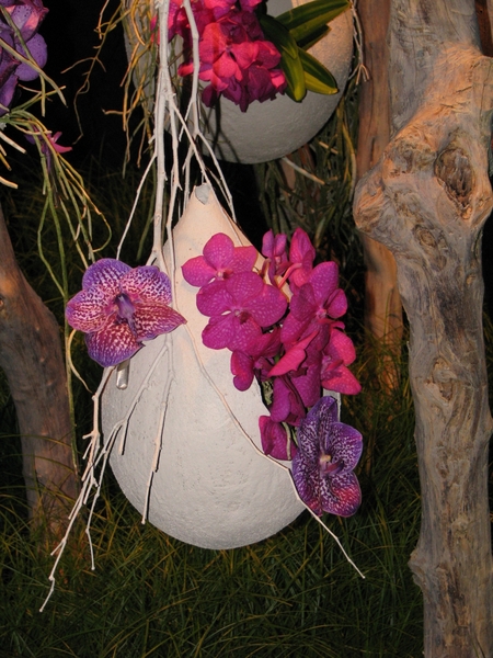 Gentse Floralin 2010 402