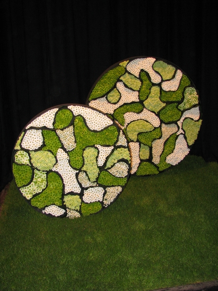 Gentse Floralin 2010 404