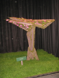 Gentse Floralin 2010 414