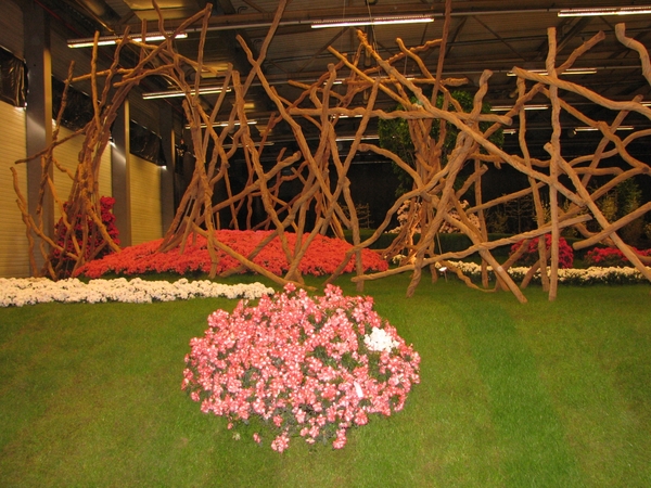 Gentse Floralin 2010 445