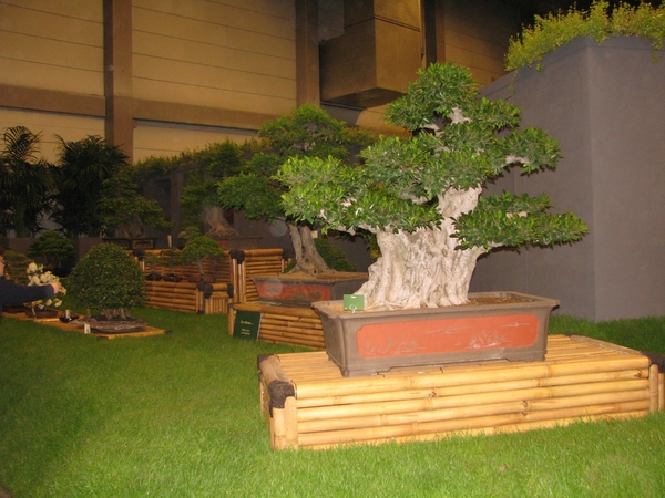 Gentse Floralin 2010 467