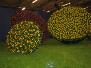 Gentse Floralin 2010 475