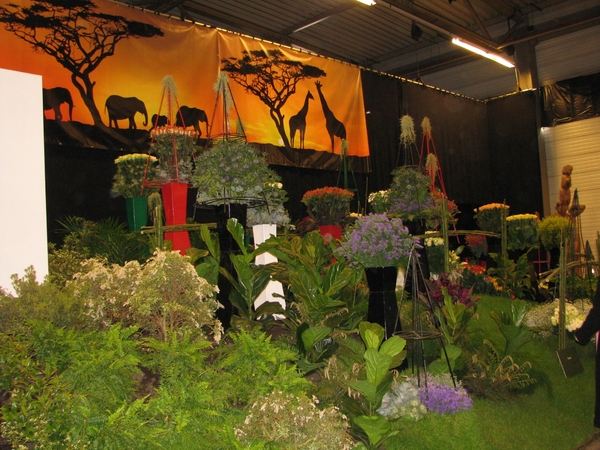Gentse Floralin 2010 493