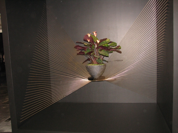 Gentse Floralin 2010 511