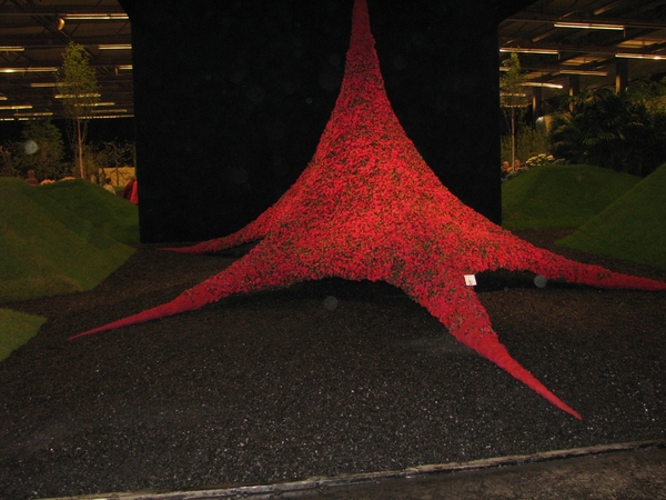 Gentse Floralin 2010 522