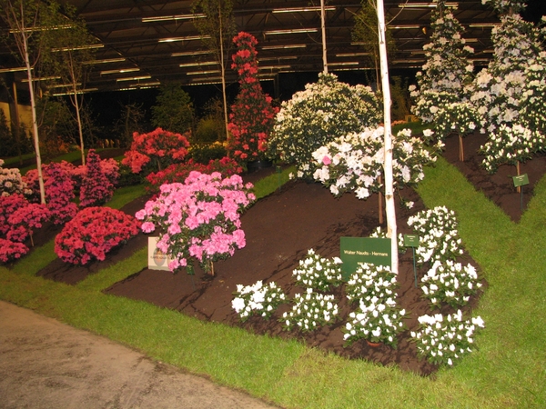 Gentse Floralin 2010 526