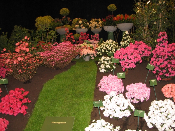 Gentse Floralin 2010 544