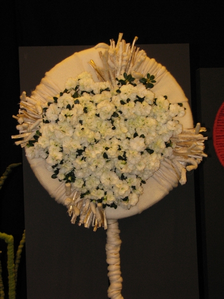 Gentse Floralin 2010 552