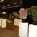 410  Gent Floraliën 2010