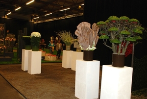 410  Gent Floraliën 2010