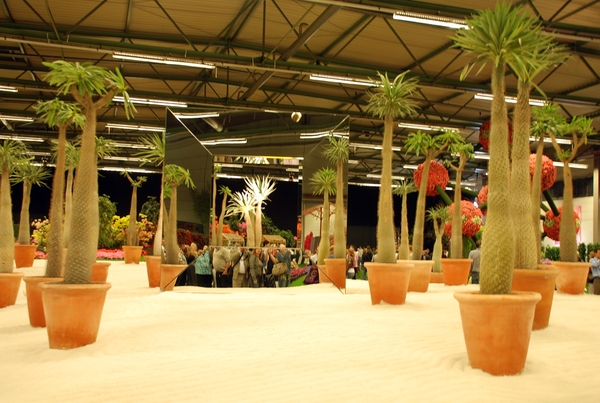 052  Gent Floraliën 2010