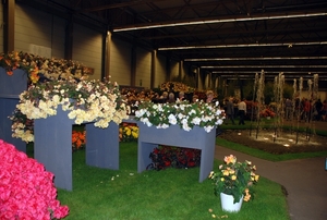 216  Gent Floraliën 2010