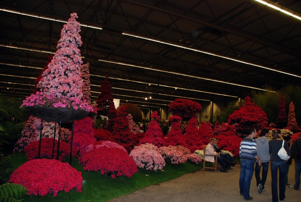 259  Gent Floraliën 2010