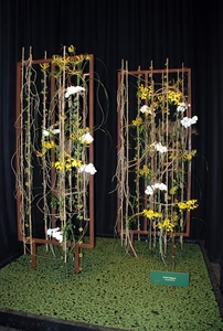 315  Gent Floraliën 2010