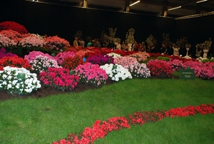 329  Gent Floraliën 2010