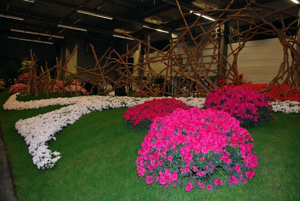 330  Gent Floraliën 2010