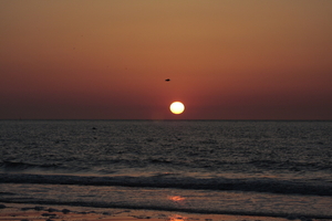 OOstende zonsond Stof Ijsland (3)