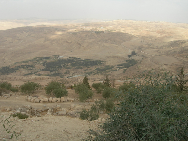 DSCN8242