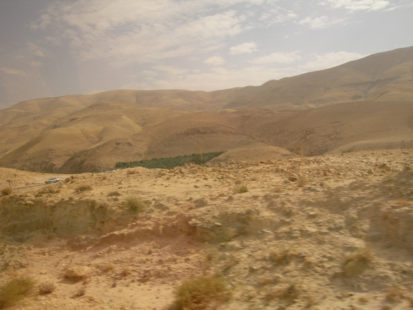 DSCN8248