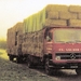 ZV-82-04