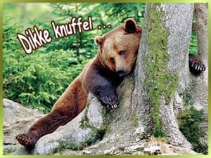 beerknuffelyq7