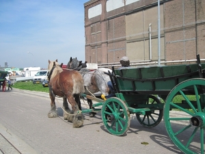 Boerenlanddag 004