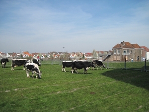 Boerenlanddag 005