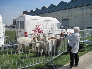 Boerenlanddag 012