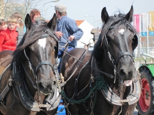 Boerenlanddag 025