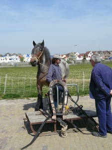 Boerenlanddag 061