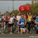 10  Miles van Antwerpen 015sized_10  Miles van Antwerpen 015