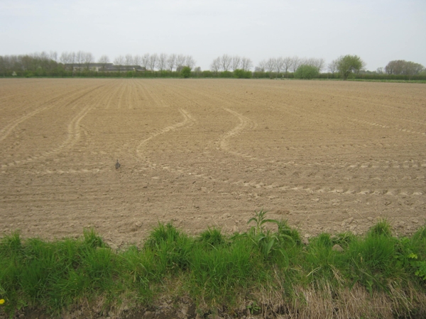 Fiets West Uit Merelbeke 2010 246