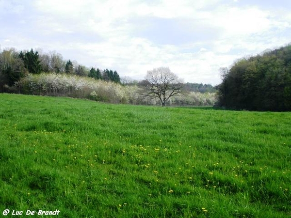 ardennen wandeling Adeps Romedenne