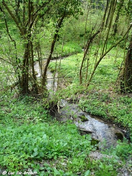 ardennen wandeling Adeps Romedenne