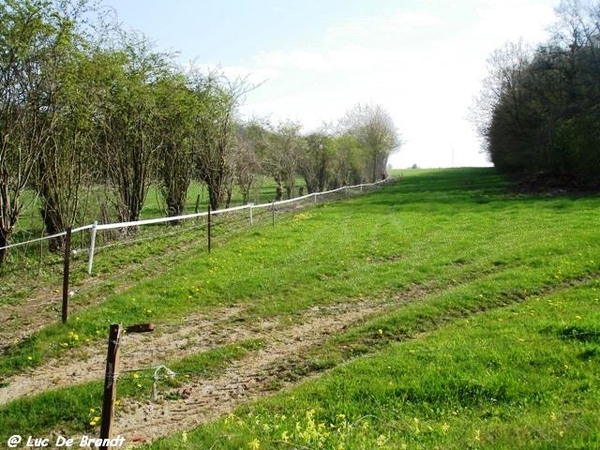 ardennen wandeling Adeps Romedenne