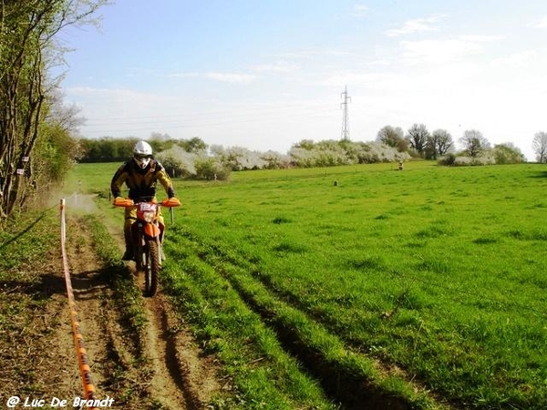 ardennen wandeling Adeps Romedenne