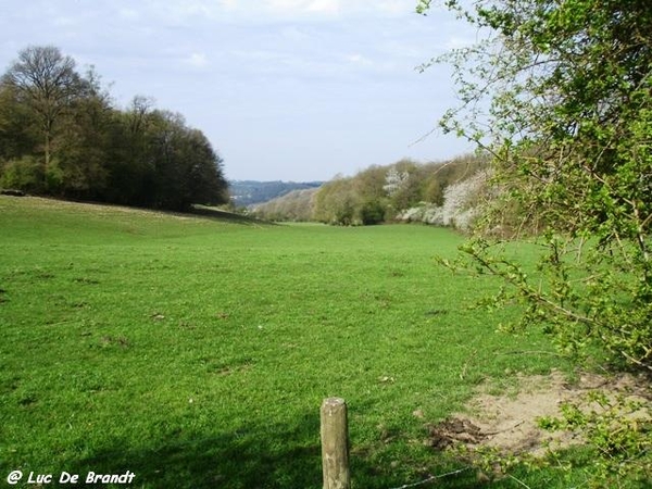 ardennen wandeling Adeps Romedenne