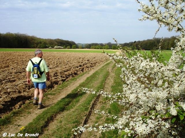 ardennen wandeling Adeps Romedenne